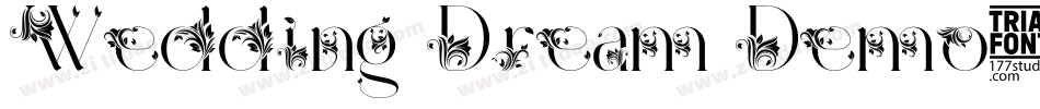 Wedding Dream Demo字体转换